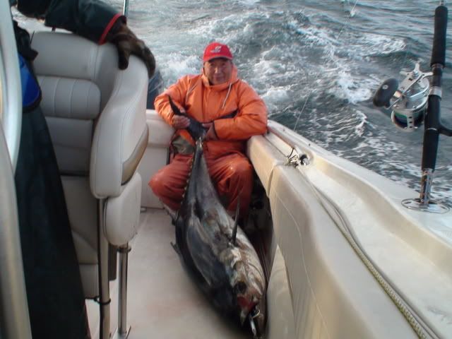 Bluefin still biting in Cape Cod | 360 Tuna Fishers Forum