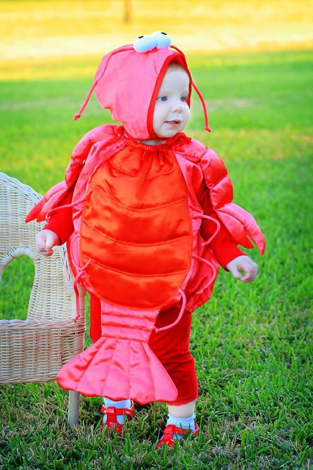 lovely lobster