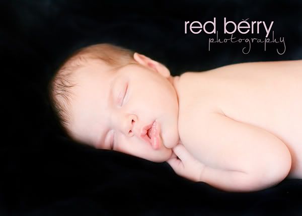 (c) Red Berry Photography