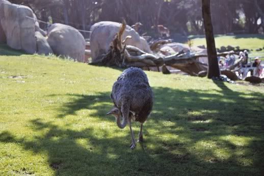 Image hosting by Photobucket