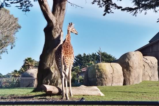 Image hosting by Photobucket