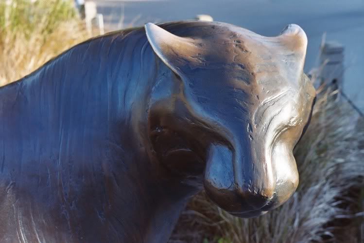 Image hosting by Photobucket