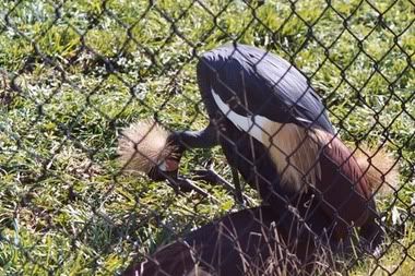 Image hosting by Photobucket