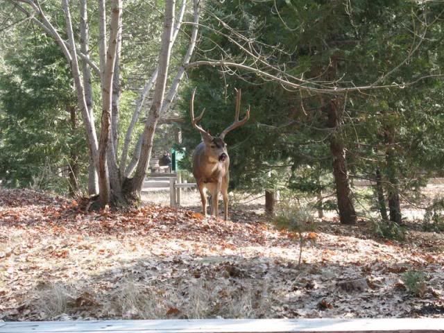 Photobucket - Video and Image Hosting