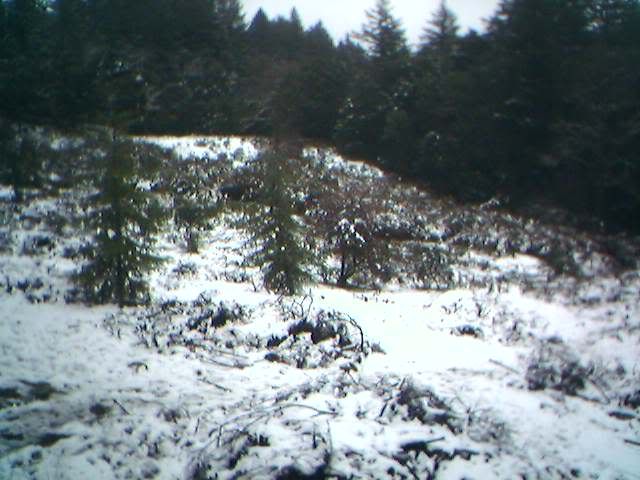 Image hosting by Photobucket