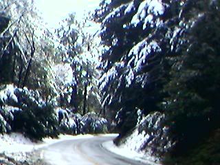 Image hosting by Photobucket