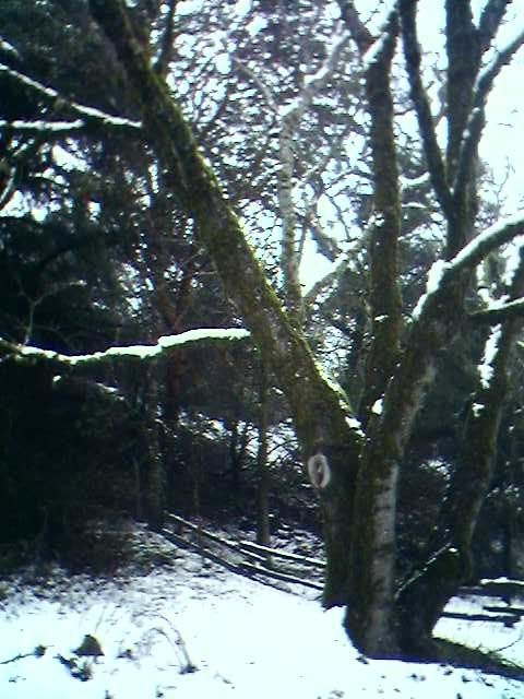 Image hosting by Photobucket