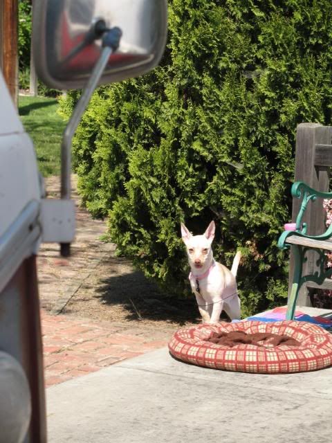 Photobucket - Video and Image Hosting