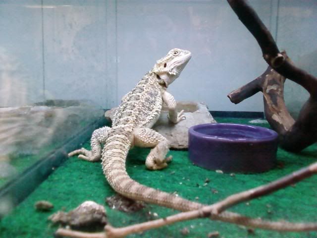 Photobucket - Video and Image Hosting