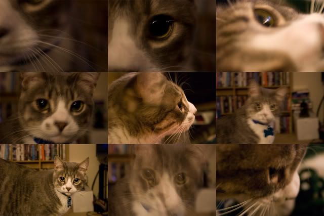 Photo Sharing and Video Hosting at Photobucket