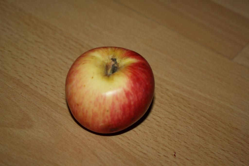 IMG_9322_zps24c62f63.jpg
