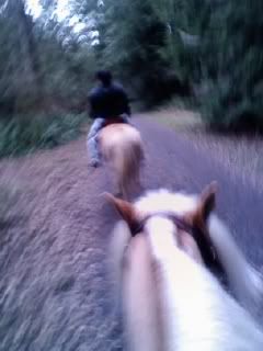 Trail Ride