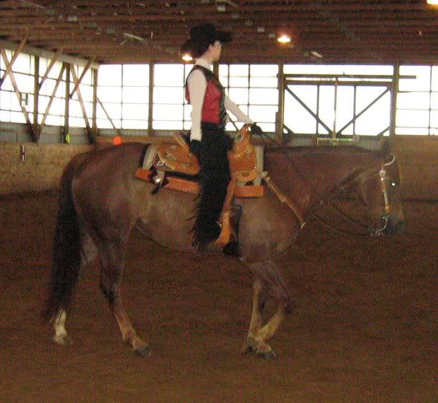 Are girth grooves forward of saddle billets for most horses? New Rider Forum