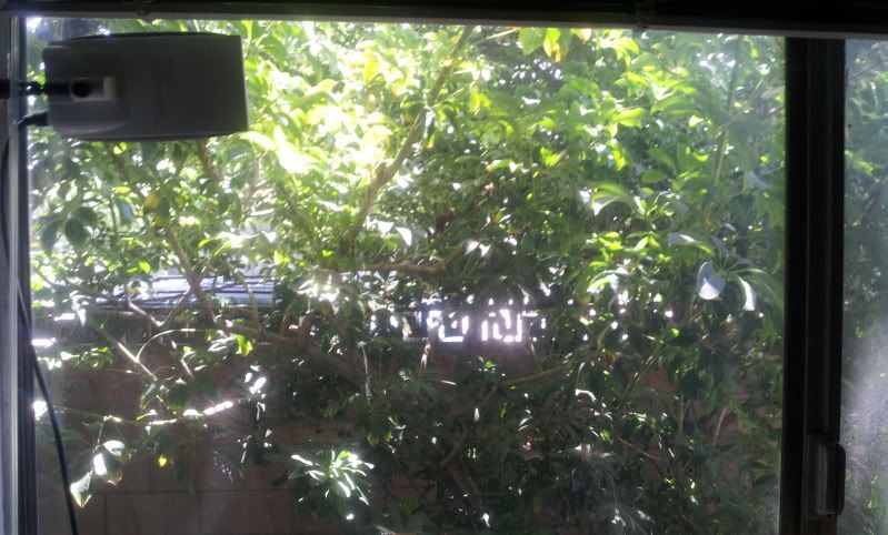 2012-06-16114235.jpg
