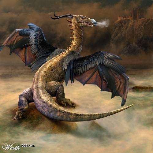 Strange Wyvern Pictures, Images and Photos