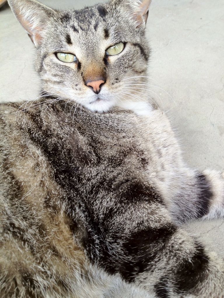 Uploaded from the Photobucket iPhone App
