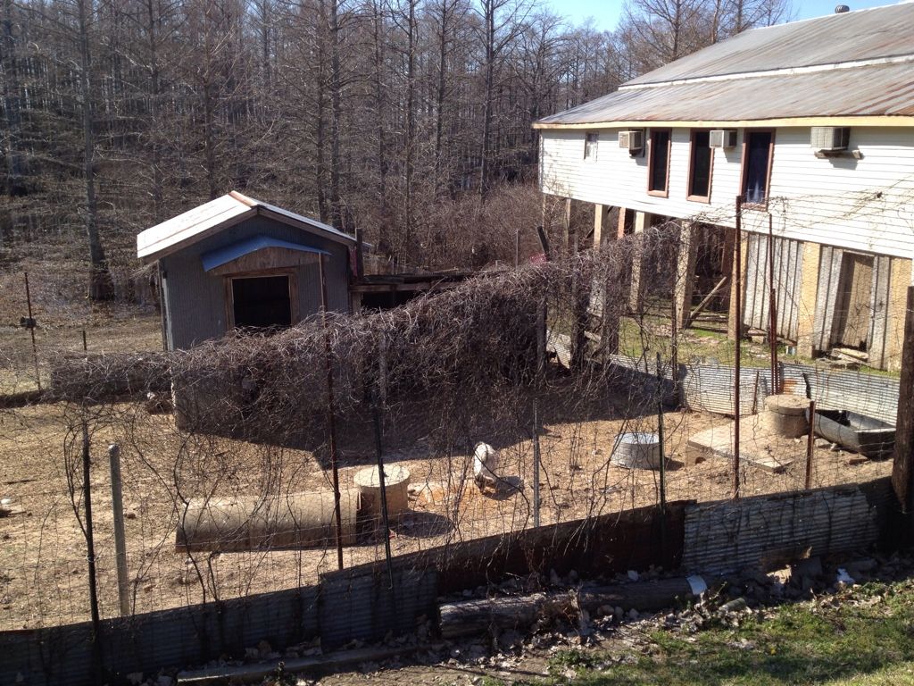 Uploaded from the Photobucket iPhone App