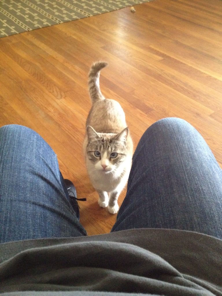 Uploaded from the Photobucket iPhone App