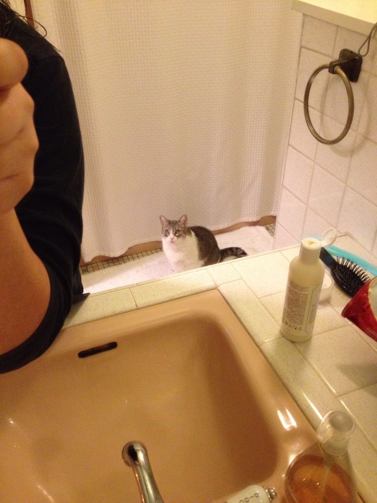 Uploaded from the Photobucket iPhone App