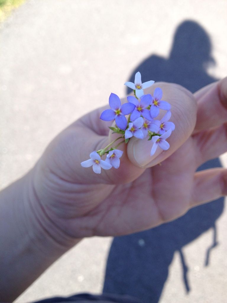 Uploaded from the Photobucket iPhone App