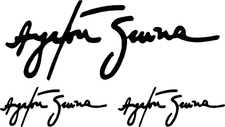 Ayrton Senna Signature F1 Racing Vinyl Sticker Decal Black