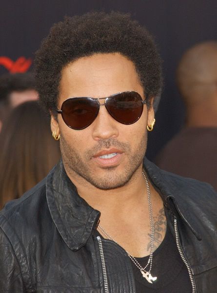 lenny kravitz dreadlocks