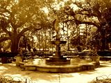 PhotoLibrary-1124.jpg image by seegeepee