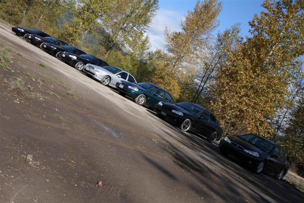 IMG_4049editLarge.jpg