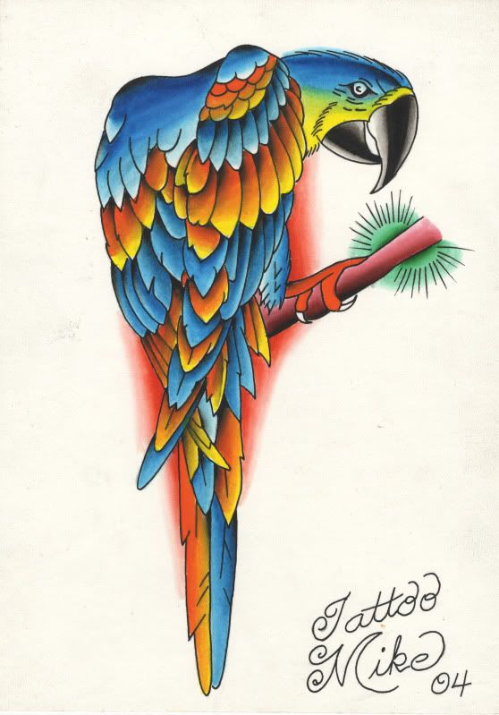 parrot tattoo. Tattoodles :: Tattoo Forums
