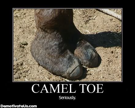 camel-toe-seriously-demotivational-.jpg