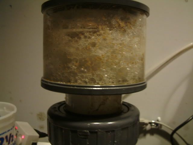 CuringRock2008_0306003.jpg