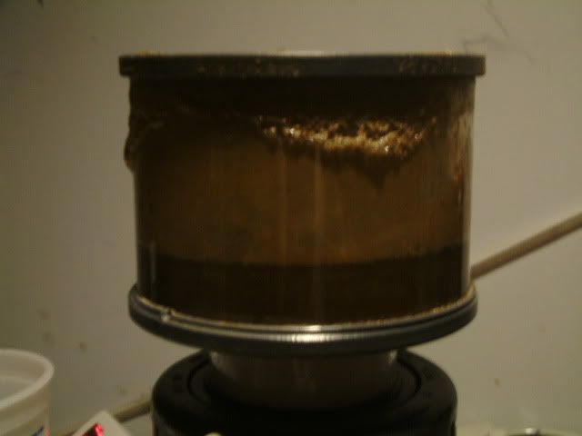 Rock2008_0317003.jpg