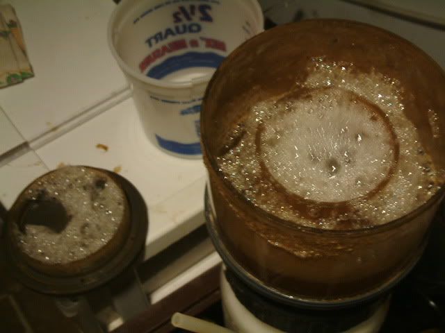 Rock2008_0317004.jpg