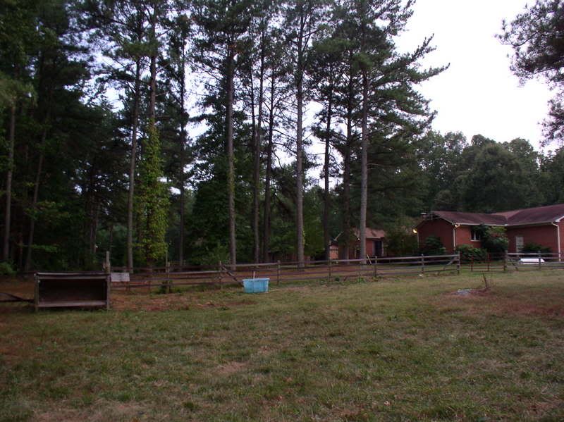 P1010020-3.jpg