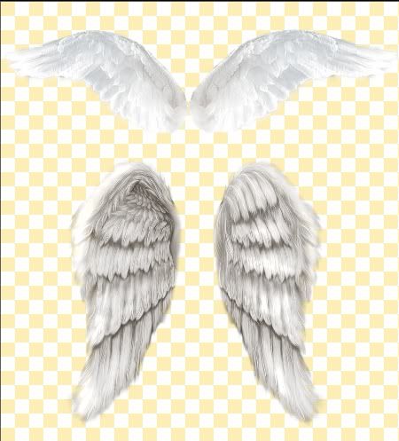 alas de angel para tus fotos alas de angel para tus fotos