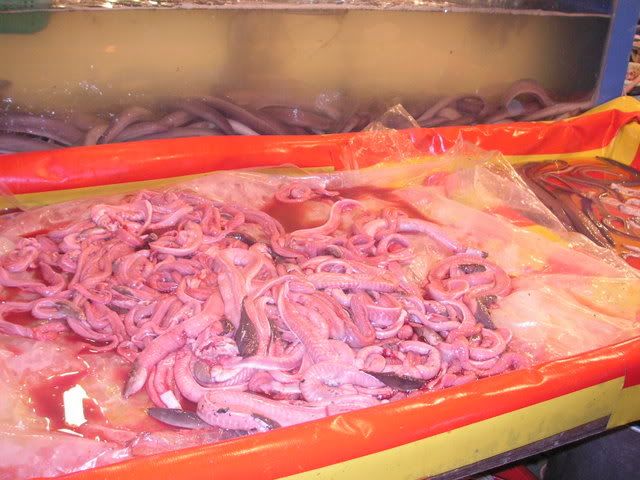 skinned sea snakes... EWWWWW