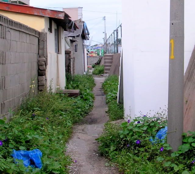 narrow beach-path