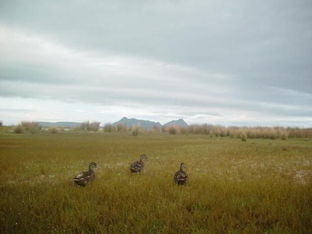 Image hosting by Photobucket