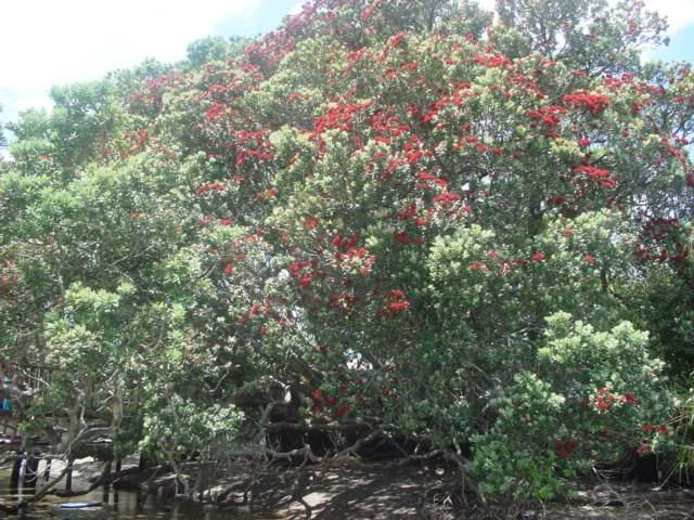 Image hosting by Photobucket