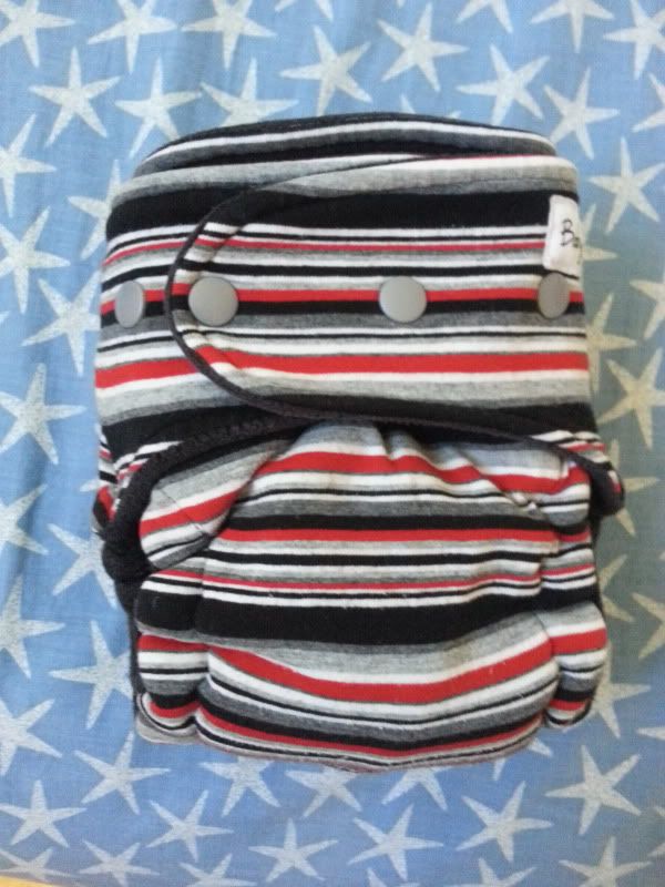 Baby Ten Cloth Diaper Baby Ten Cloth Diaper