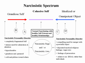 Dr. Sanity: Narcissism and Society - Part II