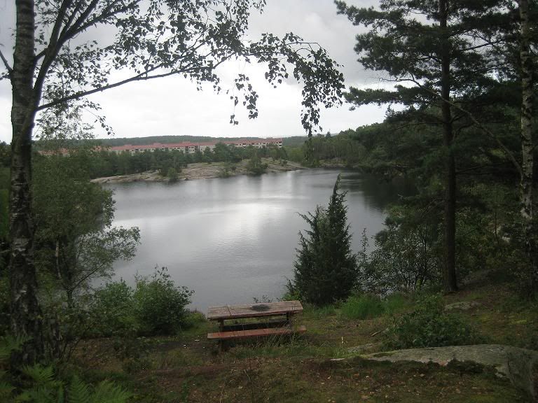 Bergsjn.jpg
