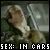 Sex in Vehicles