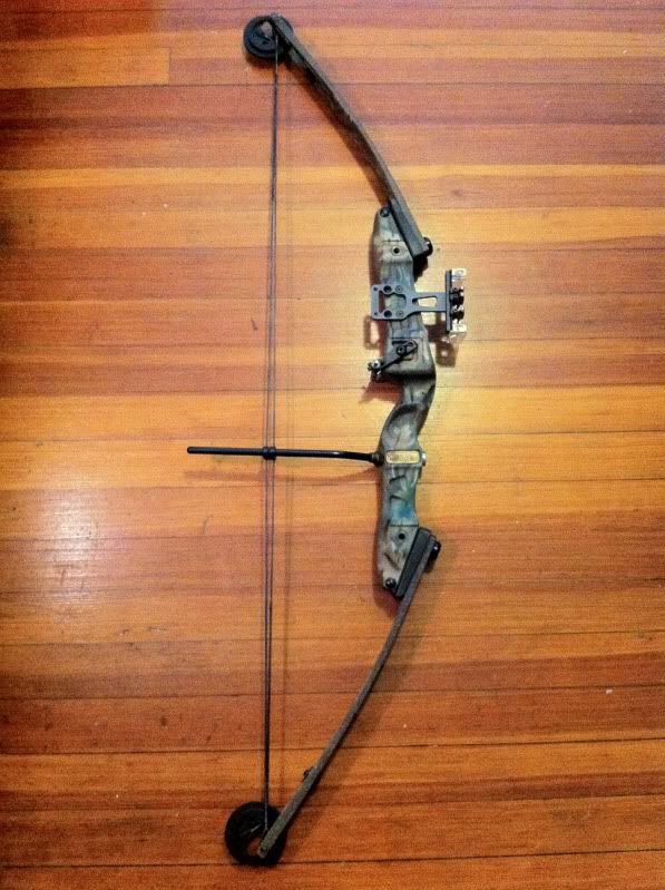 For Sale Hoyt Mystic Rebel, Youth Compound Bow