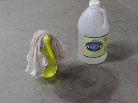 how to clean pet urine stains