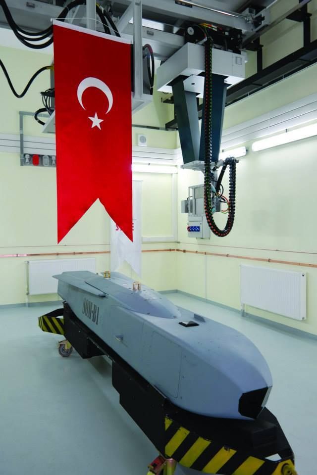 somB1_zpshizzulnu.jpg