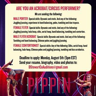 Help Wanted:  Pippin