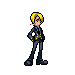 http://i2.photobucket.com/albums/y25/Agrajag42/sanji-spinkick.gif