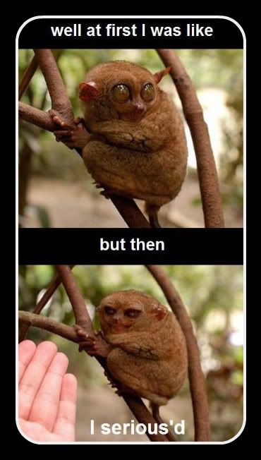 [Image: 2cs7ytc-1.jpg]