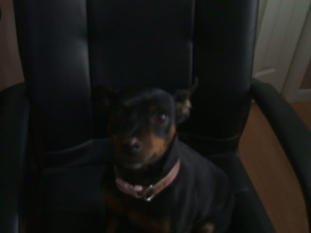 [Image: DSCF1128.jpg]